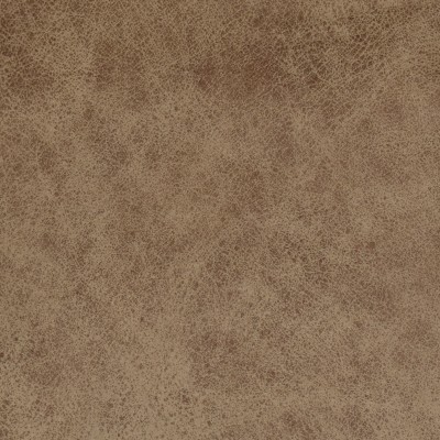 F2043 Sand Fabric: