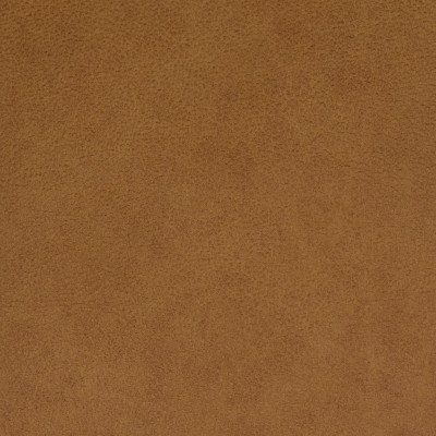 F2050 Gingerbread Fabric: