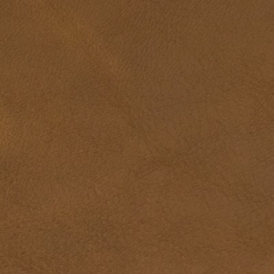 F2051 Caramel Fabric: