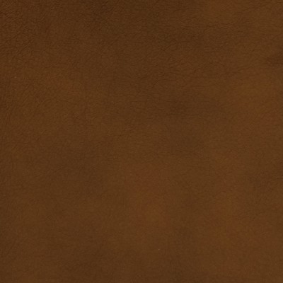 F2054 Umber Fabric: