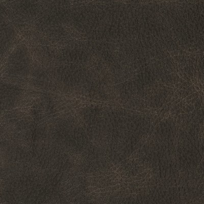 F2070 Dark Roast Fabric: