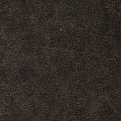 F2073 Charcoal Fabric: