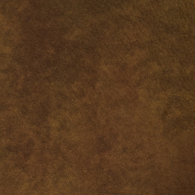 F2078 Rust Fabric:
