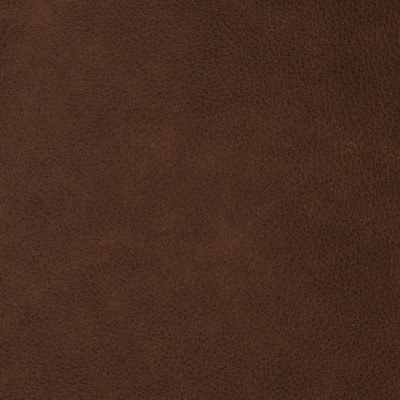 F2083 Amber Fabric: