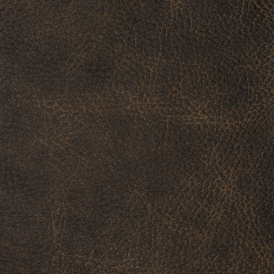 F2096 Bandwagon Fabric:
