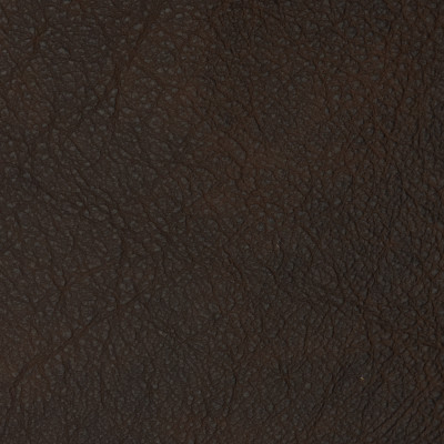 F2099 Dark Chocolate Fabric: