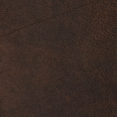 F2100 Brown Fabric: L14, L13, LEATHER, LEATHER HIDE, HIDE, FULL HIDE, NATURAL HIDE, NATURAL LEATHER, COW HIDE, BOVINE, UPHOLSTERY LEATHER, UPHOLSTERY HIDE, PERFORMANCE, PERFORMANCE LEATHER, ITALY, ITALIAN LEATHER
