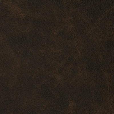 F2102 Slicker Fabric: