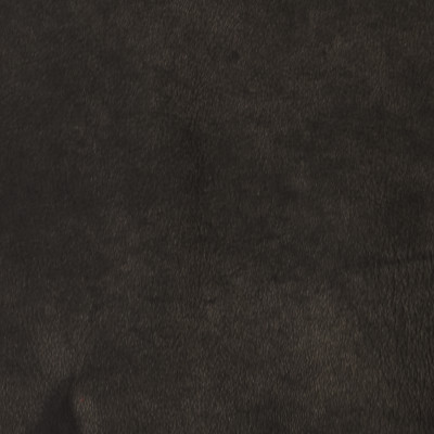 F2103 Midnight Fabric: