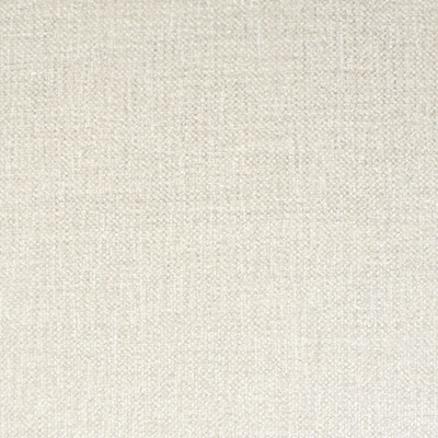 F2123 Pearl Fabric: E83, E68, WHITE, CHENILLE, SOLID, PLAIN, SOLID WHITE, PLUSH, SOLID WHITE CHENILLE