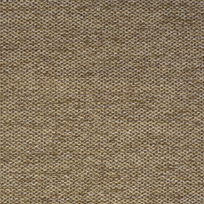 F2172 Sand Fabric: