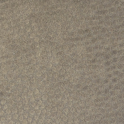 F2212 Putty Fabric: