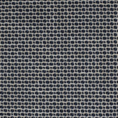 F2302 Indigo Fabric: