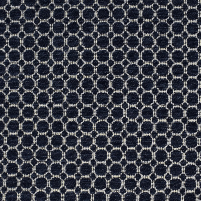 F2310 Indigo Fabric: