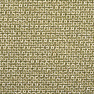 F2353 Cactus Fabric: