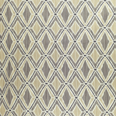 F2450 Slate Fabric: