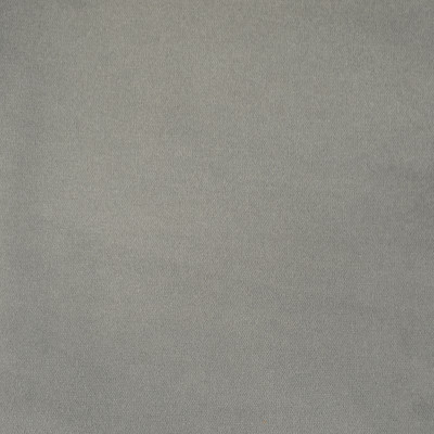 F2489 Coin Fabric: