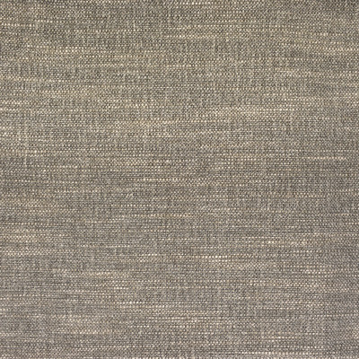 F2494 Oyster Fabric: