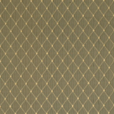 F2495 Feather Fabric: