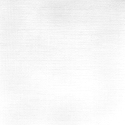 F2513 Optic White Fabric: