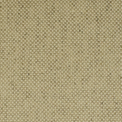F2525 Sand Fabric: