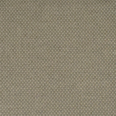 F2534 Nickel Fabric: