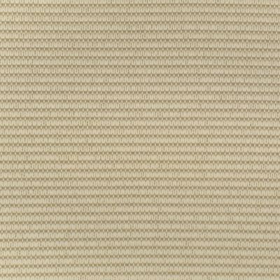 F2577 Flax Fabric: E75, MADE IN USA, REVOLUTION, OUTDOOR, REVOLUTION OUTDOOR, PERFORMANCE, BLEACH CLEANABLE, OUTDOOR STRIPE, NEUTRAL TEXTURE, TEXTURED STRIPE, FLAX, NEUTRAL STRIPE