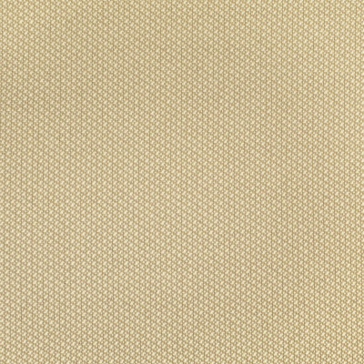 F2578 Vanilla Fabric: E75, MADE IN USA, REVOLUTION, OUTDOOR, REVOLUTION OUTDOOR, PERFORMANCE, BLEACH CLEANABLE, OUTDOOR TWILL, NEUTRAL TWILL