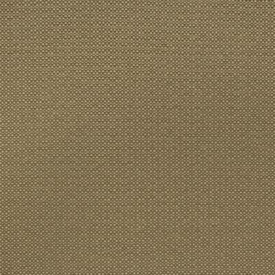 F2594 Jute Fabric: E75, MADE IN USA, REVOLUTION, OUTDOOR, REVOLUTION OUTDOOR, PERFORMANCE, BLEACH CLEANABLE, SOLID OUTDOOR, BROWN OUTDOOR, BROWN SOLID