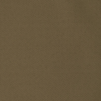 F2597 Taupe Fabric: E75, MADE IN USA, REVOLUTION, OUTDOOR, REVOLUTION OUTDOOR, PERFORMANCE, BLEACH CLEANABLE, SOLID BROWN, OUTDOOR BROWN, BROWN OUTDOOR, SOLID OUTDOOR, TAUPE OUTDOOR