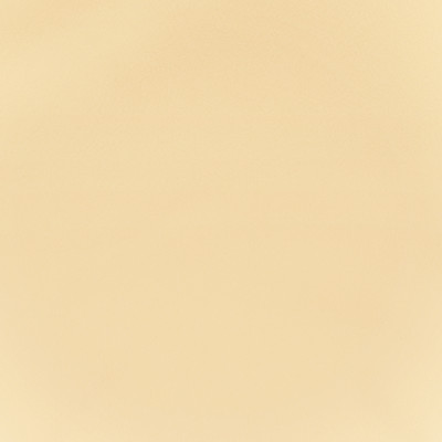 F2864 Vanilla Fabric: E77, HEALTHCARE, HOSPITALITY, RESIDENTIAL, AUTO, CONTRACT, MARINE, BLEACH CLEANABLE, NFPA 260, NFPA260, MVSS302, MVSS 302, VINYL, ENDUREPEL, PERFORMANCE, PERFORMANCE VINYL, NEUTRAL, CREAM, VANILLA