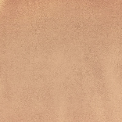 F2867 Champagne Fabric: