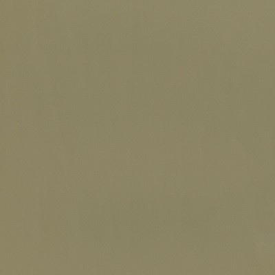 F2868 Taupe Fabric: