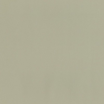 F2869 Fog Fabric: E77, HEALTHCARE, HOSPITALITY, RESIDENTIAL, AUTO, CONTRACT, MARINE, BLEACH CLEANABLE, NFPA 260, NFPA260, MVSS302, MVSS 302, VINYL, ENDUREPEL, PERFORMANCE, PERFORMANCE VINYL, GRAY, GREY, FOG, NEUTRAL