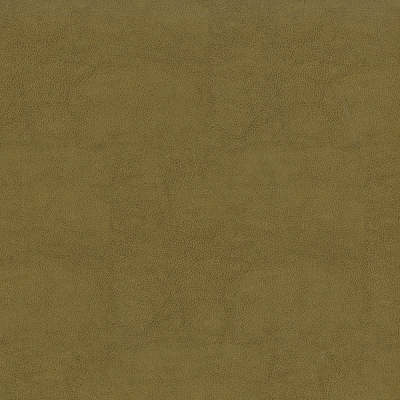 F2872 Tan Fabric: