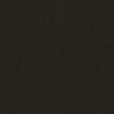 F2878 Chocolate Fabric: