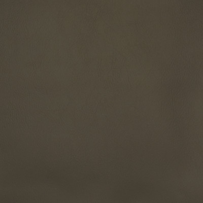 F2879 Chinchilla Fabric: