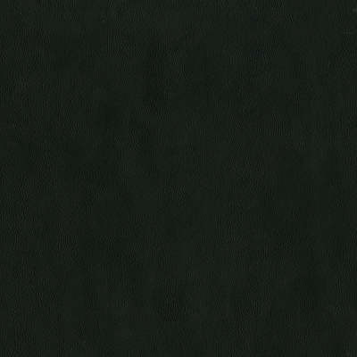 F2881 Raven Fabric: