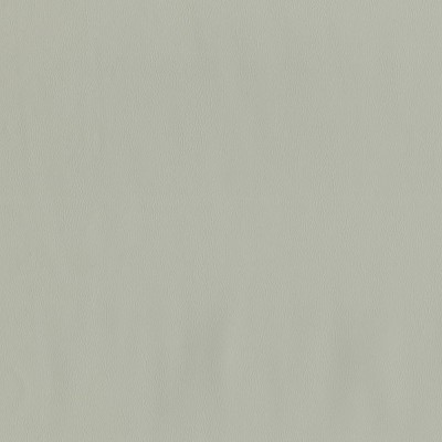 F2883 Seagull Fabric: E77, HEALTHCARE, HOSPITALITY, RESIDENTIAL, AUTO, CONTRACT, MARINE, BLEACH CLEANABLE, NFPA 260, NFPA260, MVSS302, MVSS 302, VINYL, ENDUREPEL, PERFORMANCE, PERFORMANCE VINYL, GRAY, GREY, LIGHT GRAY