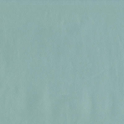 F2886 Spa Fabric: