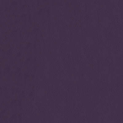 F2893 Plum Fabric: E77, HEALTHCARE, HOSPITALITY, RESIDENTIAL, AUTO, CONTRACT, MARINE, BLEACH CLEANABLE, NFPA 260, NFPA260, MVSS302, MVSS 302, VINYL, ENDUREPEL, PERFORMANCE, PERFORMANCE VINYL, PLUM, PURPLE