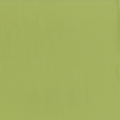 F2899 Meadow Fabric: E77, HEALTHCARE, HOSPITALITY, RESIDENTIAL, AUTO, CONTRACT, MARINE, BLEACH CLEANABLE, NFPA 260, NFPA260, MVSS302, MVSS 302, VINYL, ENDUREPEL, PERFORMANCE, PERFORMANCE VINYL, GREEN