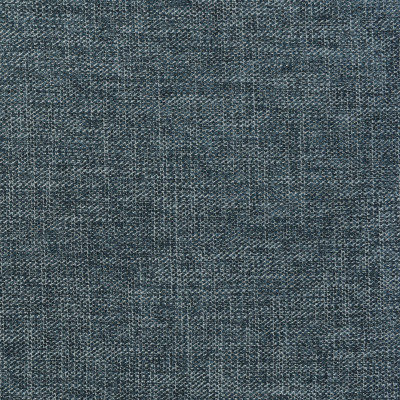 F2907 Indigo Fabric: