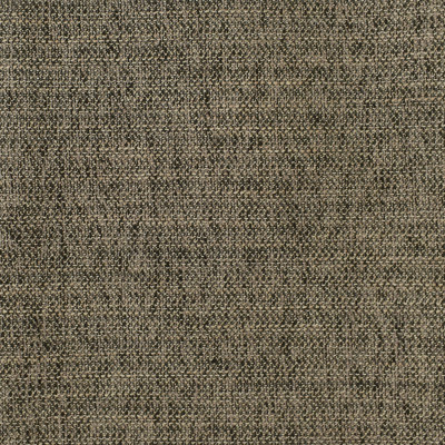 F2950 Coal Fabric: