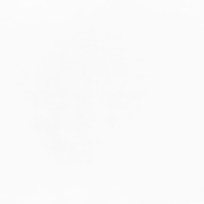 F3063 Snow Fabric: