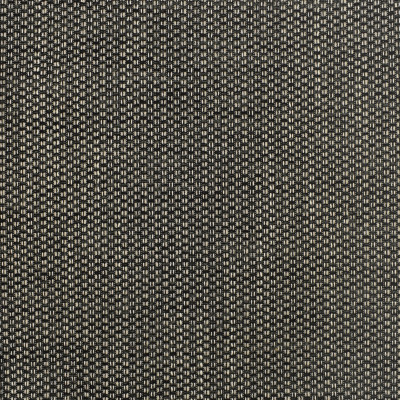 F3120 Dominos Fabric: E82, ENDUREPEL, SOIL AND STAIN REPELLENT, LIQUID RESISTANT, EASY CLEAN FINISH, ECO-FRIENDLY, ANTIMICROBIAL, ANTIBACTERIAL, HOSPITALITY, RESIDENTIAL, PERFORMANCE, SOLID, TEXTURE, WOVEN, BLACK, BLACK AND WHITE, PLAIN