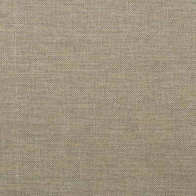 F3502 Jute Fabric:
