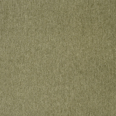 F3754 Fern Fabric: