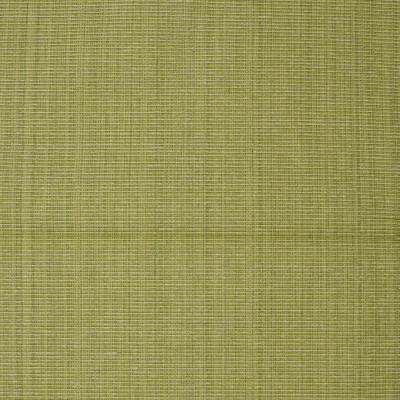 F3755 Lime Fabric: