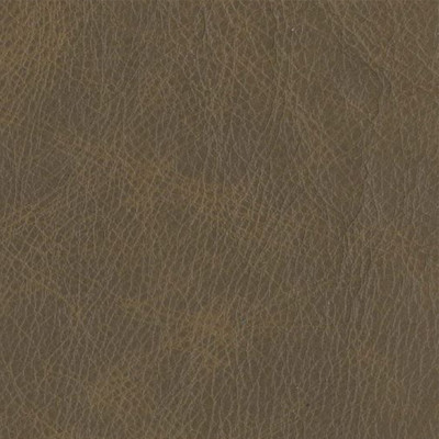 F3797 Coyote Fabric: L15, UPHOLSTERY, UPHOLSTERY LEATHER, HIDE, LEATHER HIDE, BROWN LEATHER, BROWN LEATHER HIDE, NEUTRAL, NEUTRAL LEATHER, NEUTRAL LEATHER HIDE, NATURAL GRAIN LEATHER, PERFORMANCE, PERFORMANCE LEATHER, PROTECTED, PROTECTED LEATHER, COW, COW HIDE